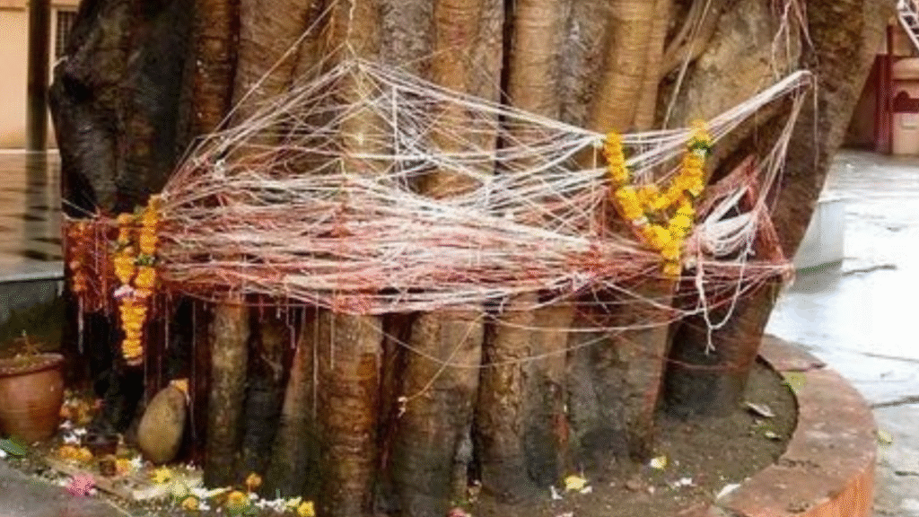 Vat Savitri in Bihar 2025