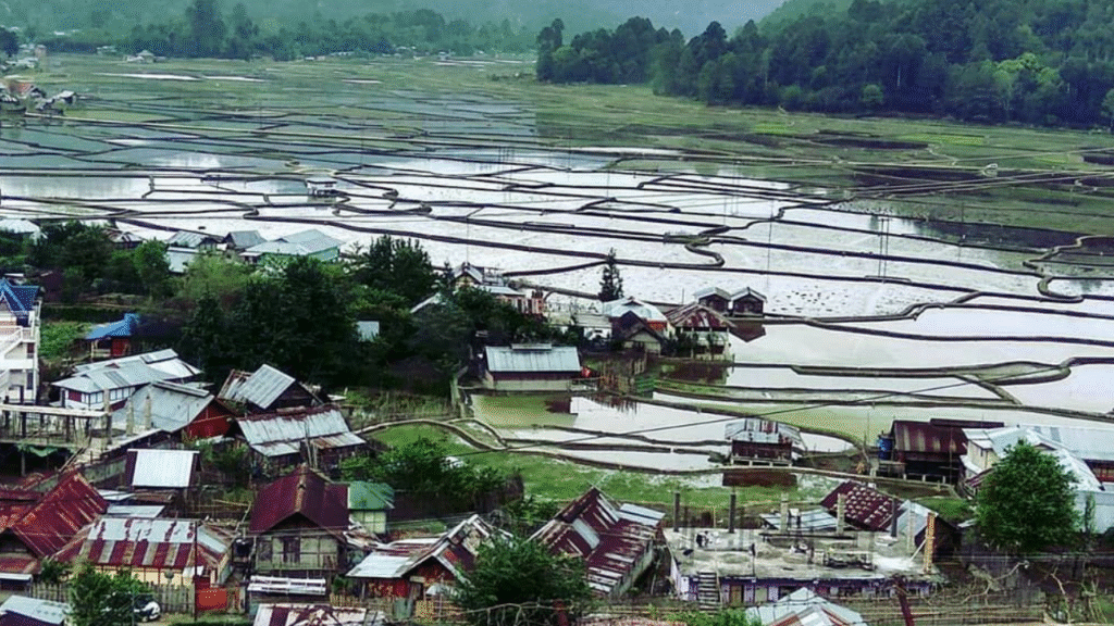 Where is Ziro Music Festival 2025 Held?