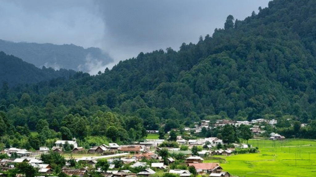 Ziro Music Festival 2025